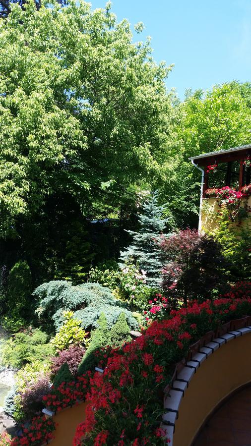 Pensiunea Europa Targu Mures Exterior foto